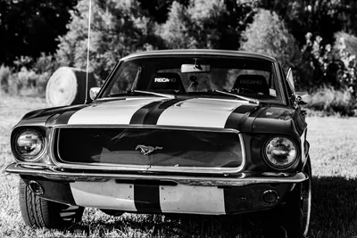 5D549C18-B1EA-4F21-B8DE-BA324251AF33_1_105_c