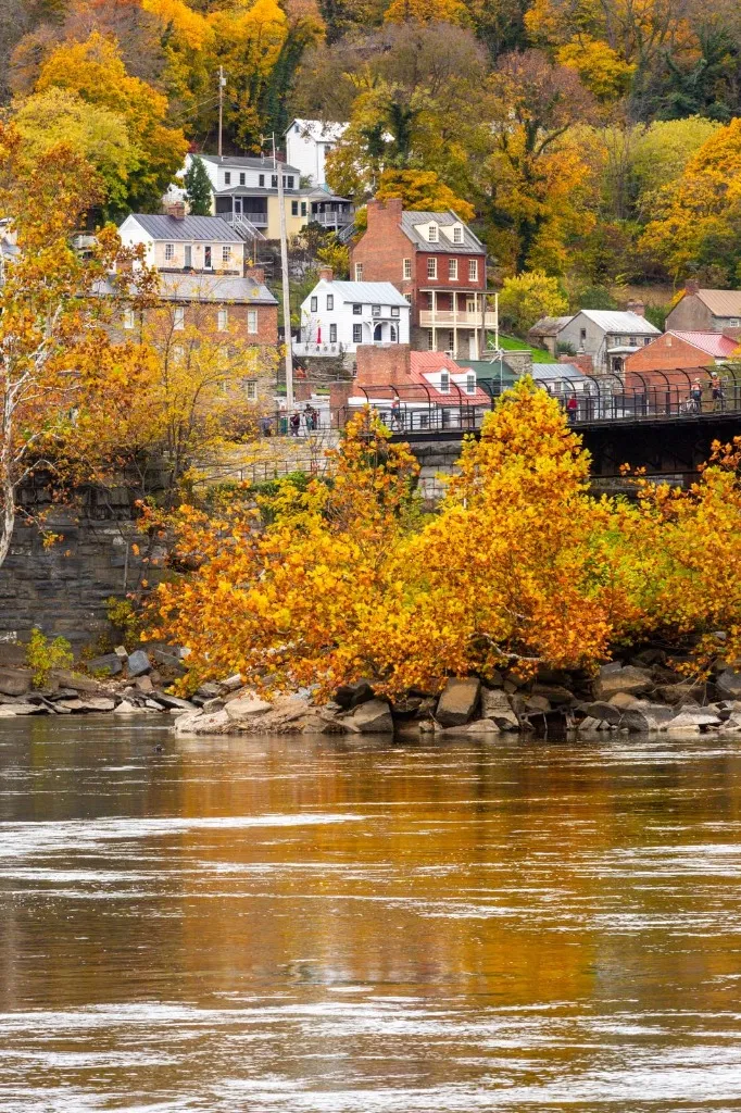 Cinematography Portfolio